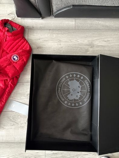 canada goose