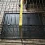 XXL Dog Cage Image 2