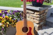 Tanglewood TW15 Dreadnought