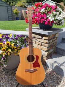 Tanglewood TW15 Dreadnought