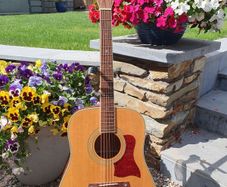 Tanglewood TW15 Dreadnought