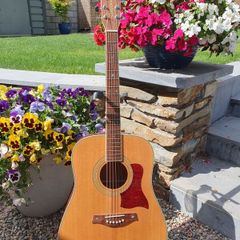 Tanglewood TW15 Dreadnought