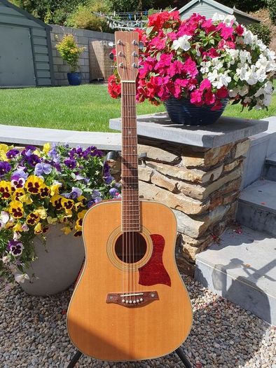 Tanglewood TW15 Dreadnought