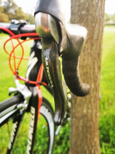 Specialized Tarmac SL2 S-Works Quick Step (54)