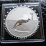 Australia 2013 1 Dollar Kangaroo in Outback - F15 Privy 1oz Silver  Proof coin Image 4