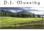 PJ Murrihy - Pat Murphy's Meadow