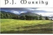 PJ Murrihy - Pat Murphy's Meadow