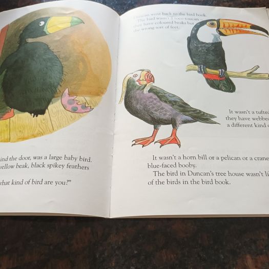 Duncan and the Bird