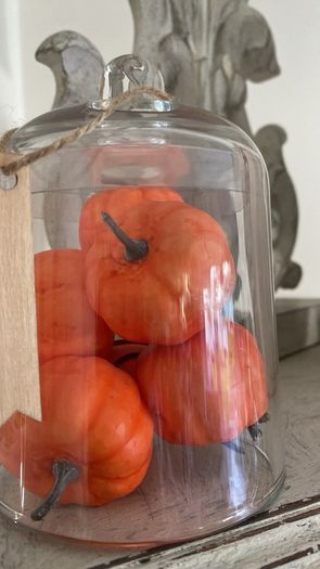 ShabbyChic Glass Dome with Pumpkins