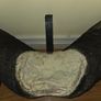 African Water Buffalo Horns Image 8