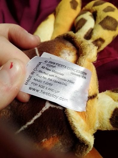 Bigeye turtle teddy (Fiesta)