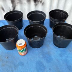6 clean black plastic flower pots