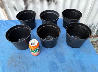 6 clean black plastic flower pots