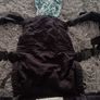 Kibi Baby Carrier Image 2
