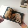 Winnie the Pooh a celebration of the silly old bear Image 7