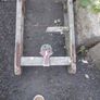 beautiful set of antique fire engine ladders circa1940s Image 4