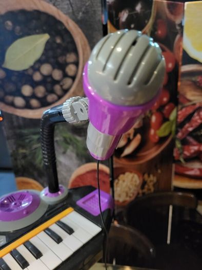 keyboard and microphone