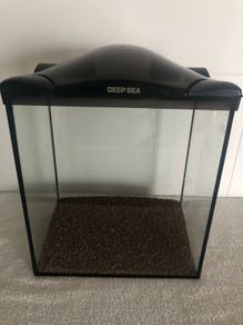 Fish Tank