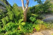 Soft landscaping services North Dublin