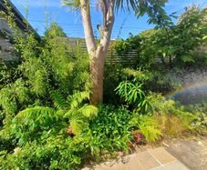 Soft landscaping services North Dublin