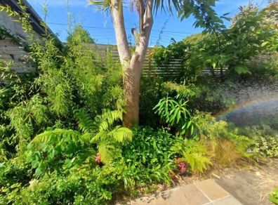 Soft landscaping services North Dublin