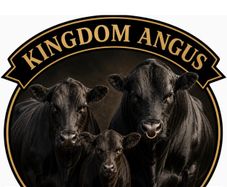 Kingdom Angus