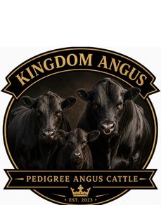 Kingdom Angus