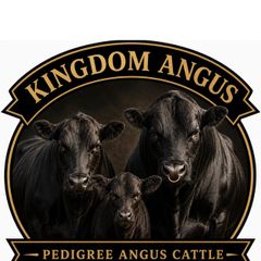 Kingdom Angus