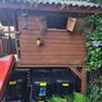 Treehouse Image 2