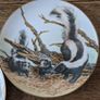 John Francis - The Forest Year - 5 Porcelain Collection Plates Image 4
