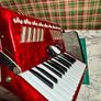 Piano accordion Parrot for kids Image 5
