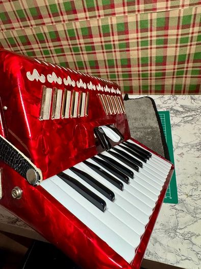 Piano accordion Parrot for kids