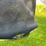 ProLawn Petrol Lawnmower (Briggs & Stratton Engine) For Parts / Repairs Image 4
