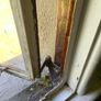 Steel window - crittal style Image 3