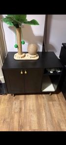 Cat house/litter cabinet