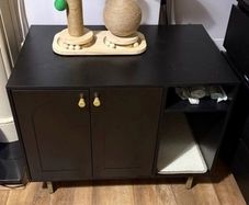 Cat house/litter cabinet