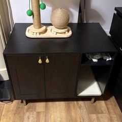 Cat house/litter cabinet