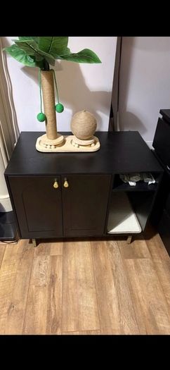 Cat house/litter cabinet