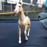 Schleich Palomino Trakehner Mare Exclusive Horse Collectible Standing Horse Image 2