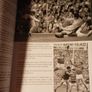 100 Cork Sporting Heroes/ Evening  Echo/ 2003 Image 5