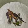SET OF 2 HANGING PLATE Alfred Meakin Audubon Birds of America Teacup Saucer 5.75 Inches. Image 4