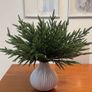 Round plant pot Image 2
