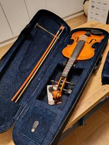 violin Aileen