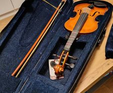 violin Aileen