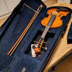 violin Aileen