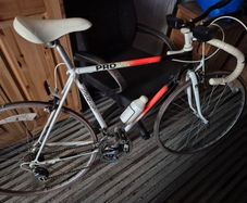 Raleigh Pro Racer Vintage