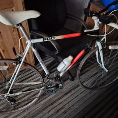 Raleigh Pro Racer Vintage