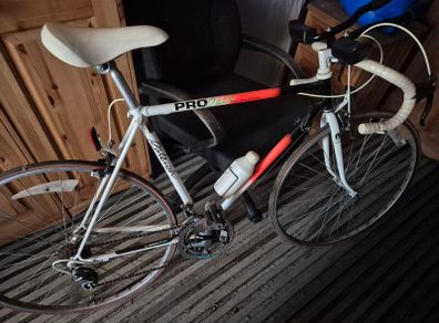 Raleigh Pro Racer Vintage