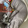 Newborn seat Image 4