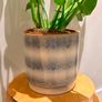 plant pot / vase Image 2